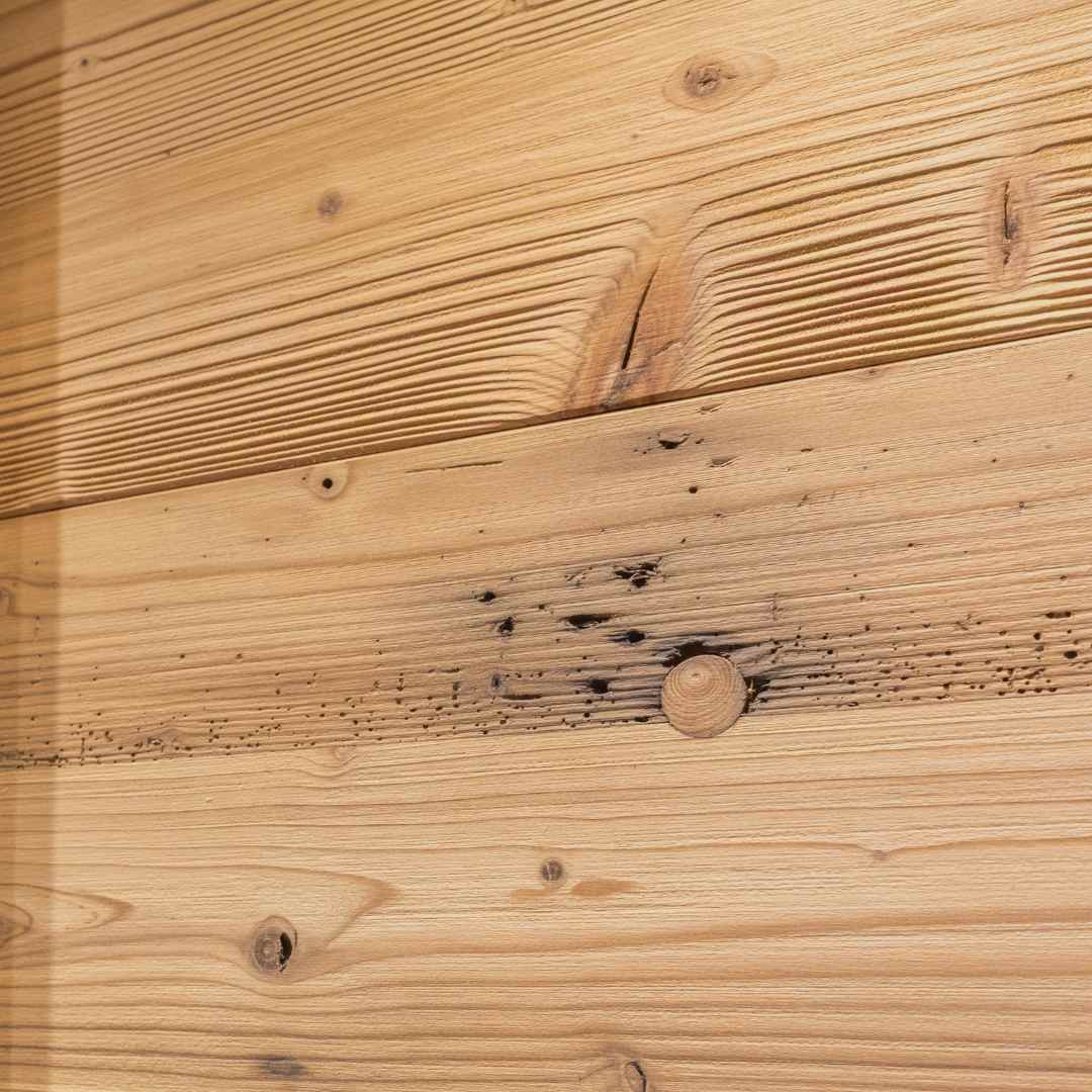 Dettagli dei difetti del legno